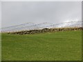 Polytunnel frames