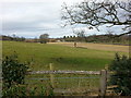 Farmland North of The Shaws Farm on the western edge of Hexham