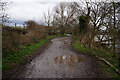 The Thames path towards Hammersmith