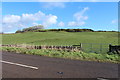 Farmland near Drummore