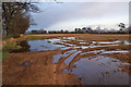 Waterlogged field