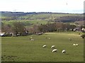 Ebchester village and the Derwent valley