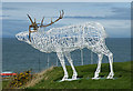 Lossiemouth Stag