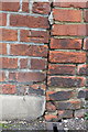 Benchmark on #135 Marlborough Road (Newton Road face)