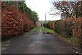 Track to the River Dee, Kirkcudbright