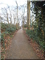 Path on Athlone Fields, Kenwood