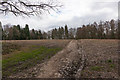 Footpath and field south of Bishopstoke Cemetery