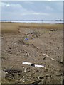 Debris on the shoreline