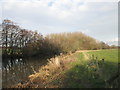 River Derwent southwest of The Ellers