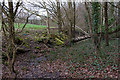 Field/woodland boundary northeast of Bishopstoke cemetery