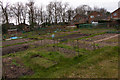 Allotments south of Jockey Lane