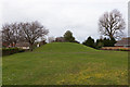 Grassy hillock on Burrow Hill