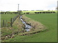 A tributary of the Avon Water