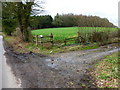 Footpath junction on east side of Hawthorn Road