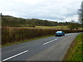 Field and woodland by Hawthorn Road