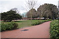 Path alongside University Road