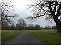 The Grounds of Tabley House