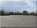 Floods, Newtown