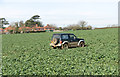 Car in crop field