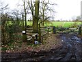 Stile at footpath junction with Mary Lane