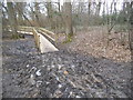 TQ1593 : Muddy approach to walkway on Stanmore Common by David Howard