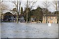 SU6189 : Looking across the floods by Bill Nicholls
