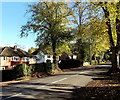 Tree-lined Sandford Avenue, Church Stretton