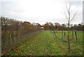 Footpath, Lower Hawksfold