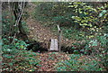 Footbridge near Lower Hawksfold