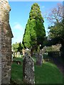 Holy Trinity, Rudgwick: churchyard (v)