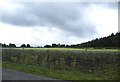 Stone Wall on Midhope Cliff Lane, Upper Midhope, near Stocksbridge