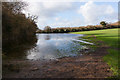 Flood beside Honeyman Lane