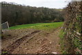 View across the valley to Battleford Wood