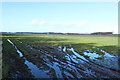 Farmland near Lochans Moor