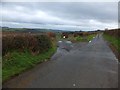 Bridleway to Coombe Hall