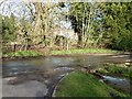 Water flowing under the road from Bury Pond