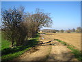 Track to Pettistree Hall