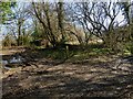 Junction of byways near Four Marks and south of the A31