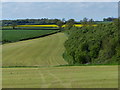 Farmland on the Leicestershire Wolds