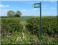 Public footpath along Melton Spinney Road