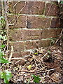 OS benchmark - Shifnal, Wards Rough cottage