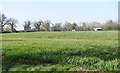 Cereal field south of Home Farm