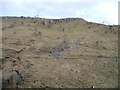 NY7206 : Rocky outcrop, western edge, Smardale Fell by Christine Johnstone