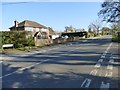 Telegraph Lane looking south east from Alton Lane