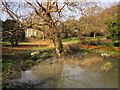 Flooded churchyard, Stoke Damerel