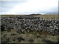 SD7889 : Sheepfold, on the west side of the Coal Road by Christine Johnstone