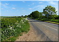 Country road heading south to Scalford