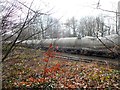 Railway Wagons from the Hope Cement Works