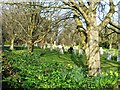 Graveyard, Langton Herring