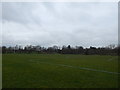 Chantry Park sports ground